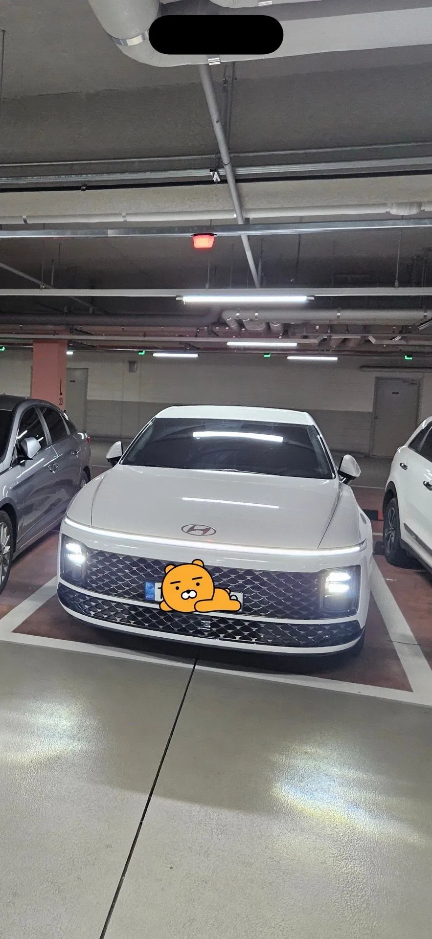 브라이텍스 듀얼픽스 프로 3