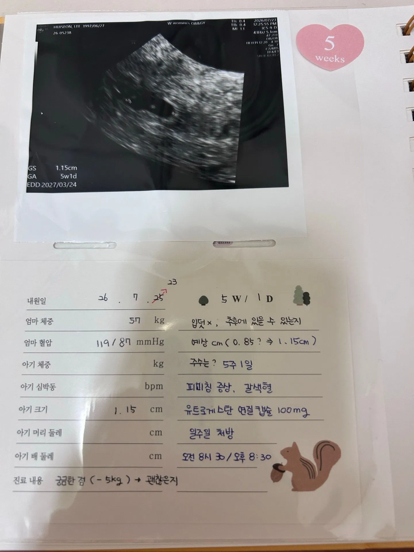 피비침 및 갈색혈