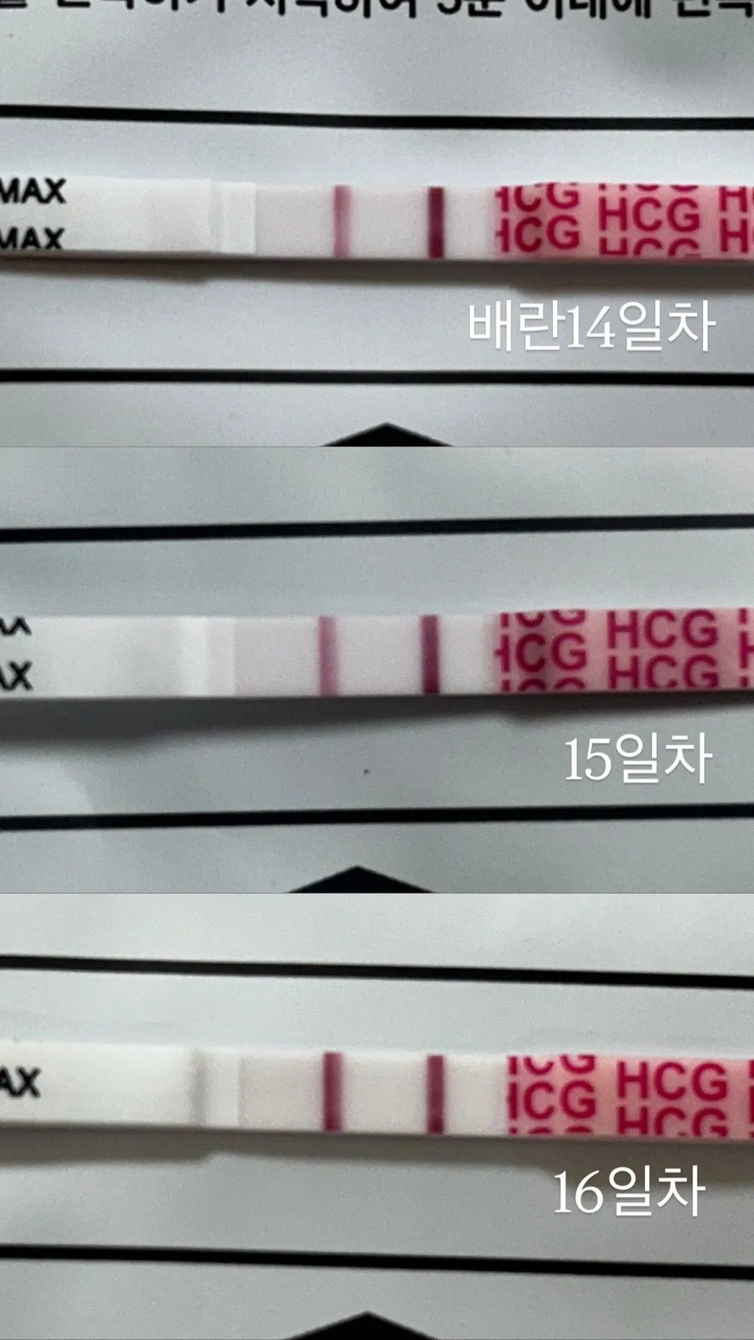 진하기 잘 진해지고 있는걸까오!? 2