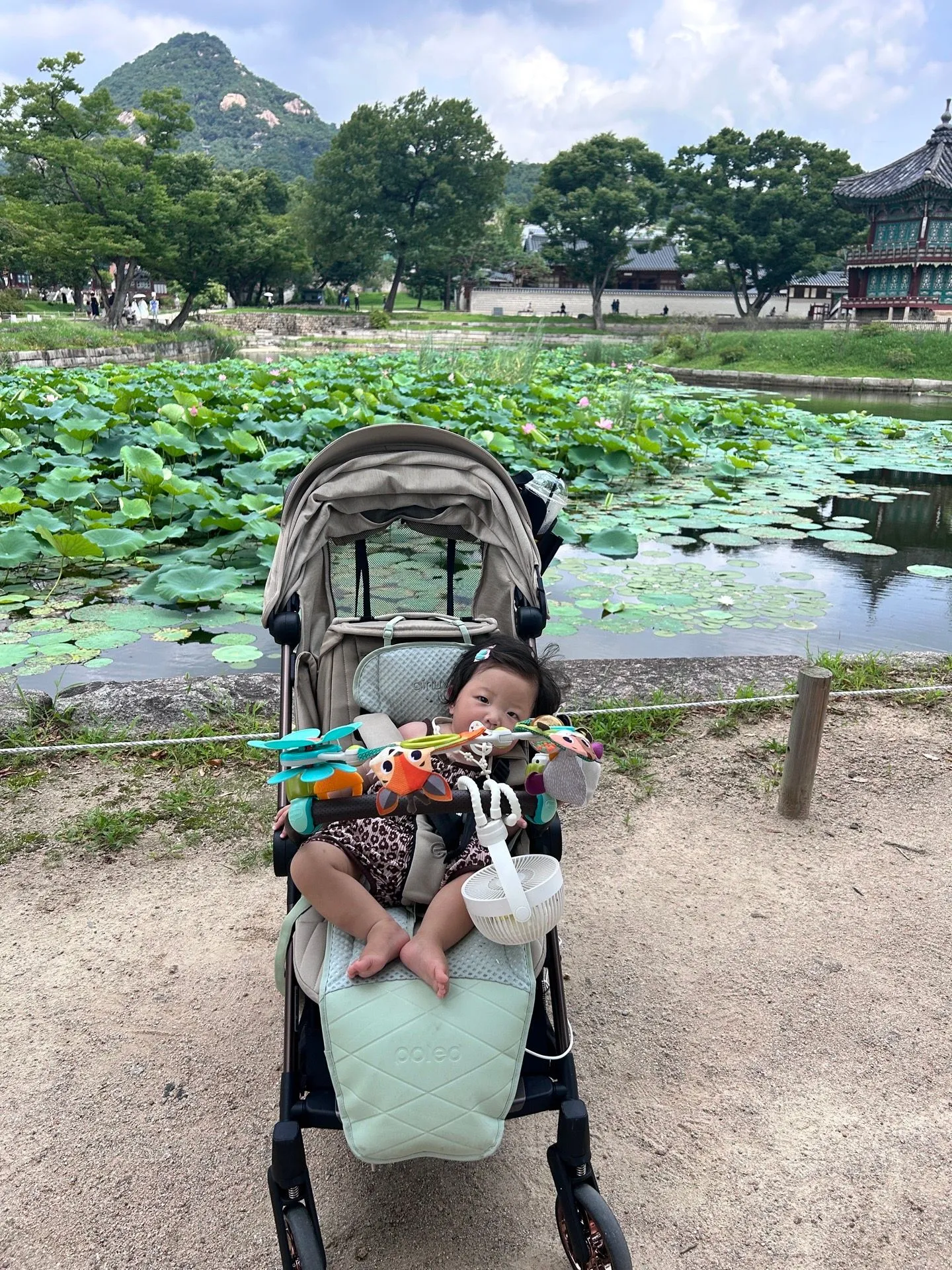 베페에서 직접 보고 구매한 오이스터 미니2 사용후기 2