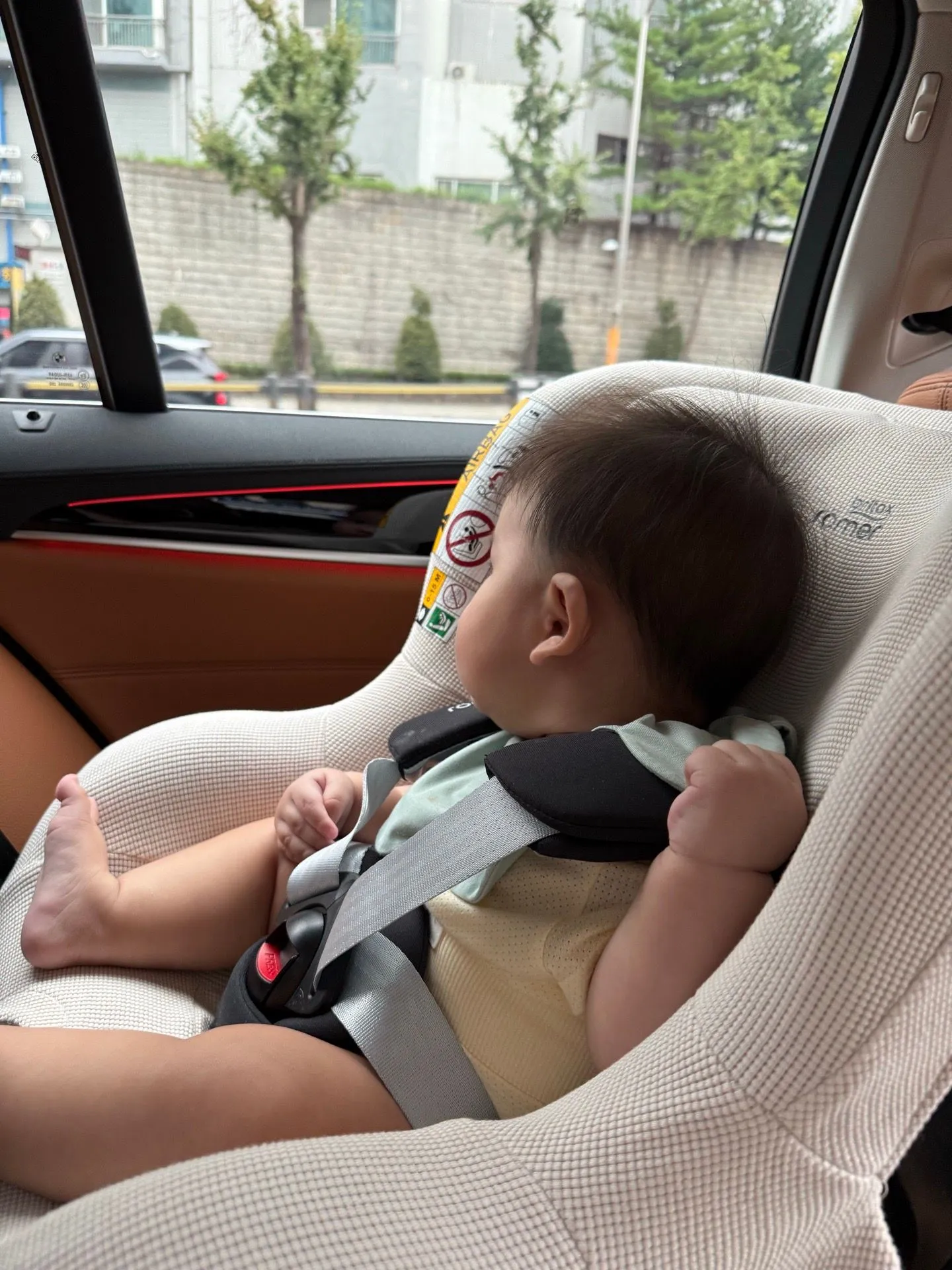 [내돈내산 실사용 후기] BMW 520i에 딱 맞춘 안정감! 브라이텍스 듀얼픽스 프로 선택 및 장착 후기 3
