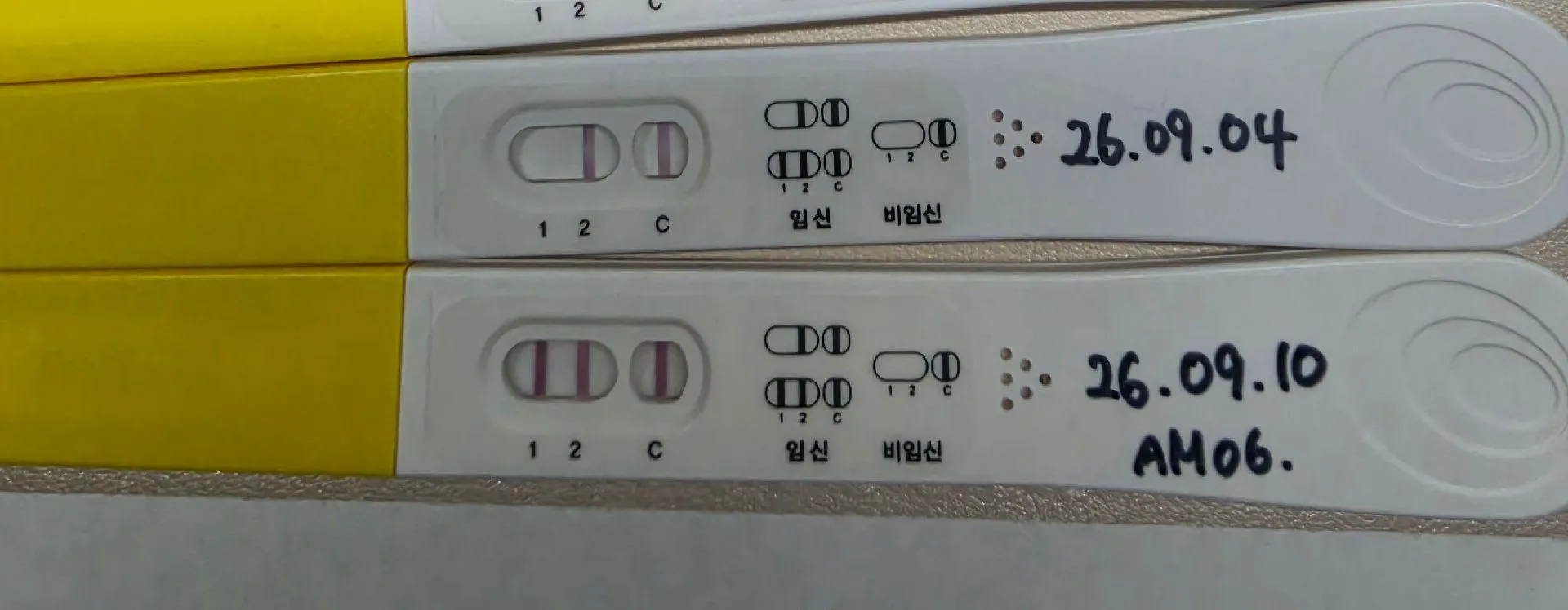 오늘 난황 보일까요?