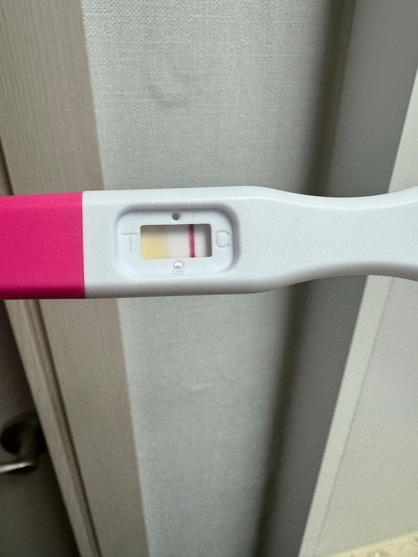 이거 두 줄일까요..?