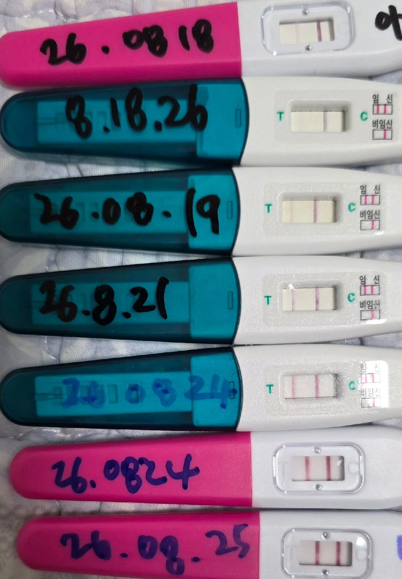 둘째를 간절히 기다리는 맘입니다.
