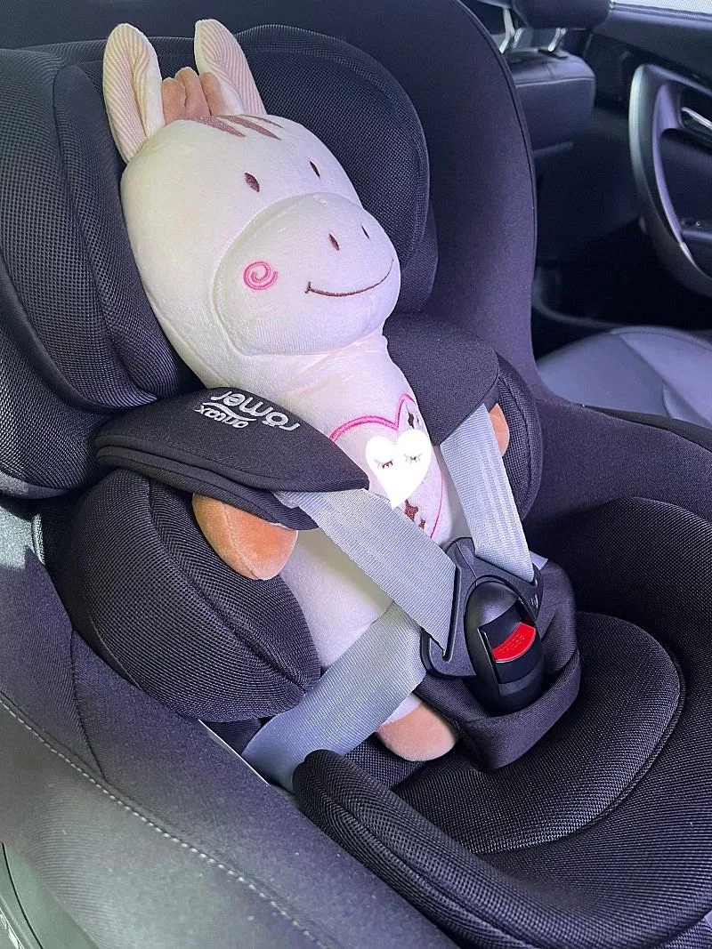 우리 둥이 출생 대비 브라이텍스 듀얼픽스 프로 구매했어요 1