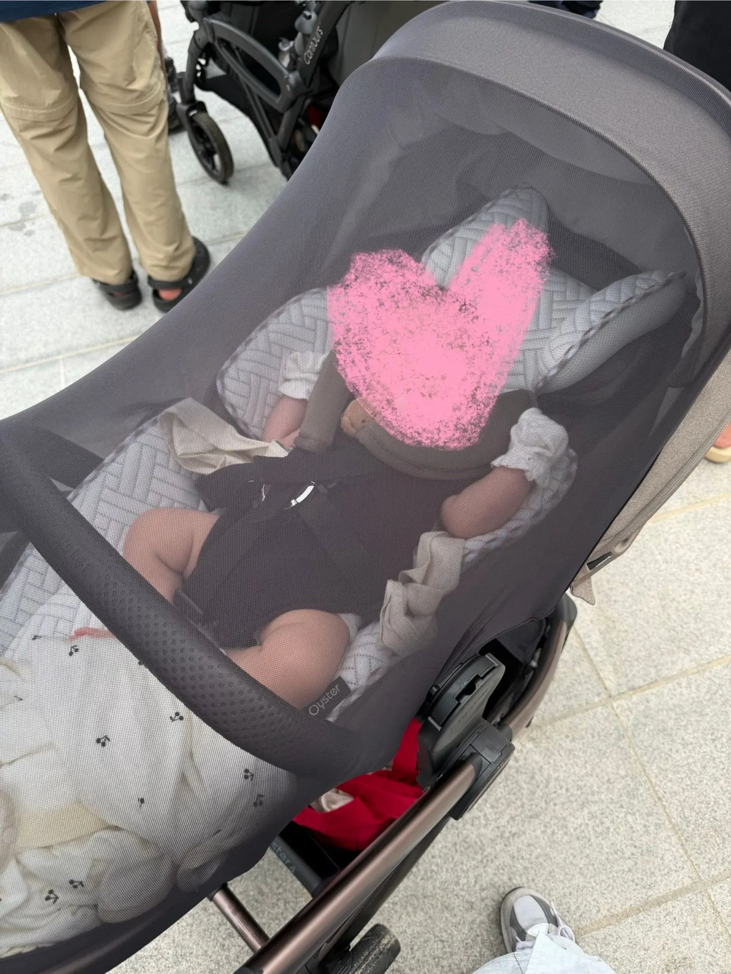 내돈내산 오이스터4 추천🪽 2