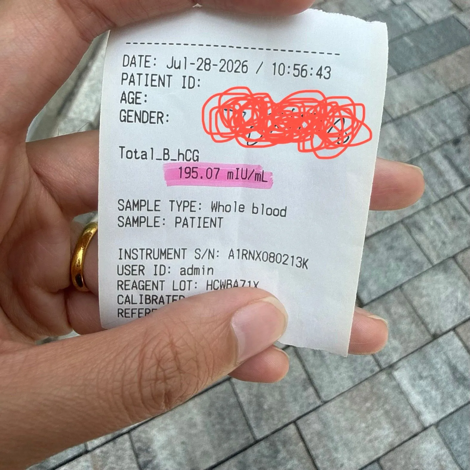 오늘 테스트기 두줄 해외여행 2