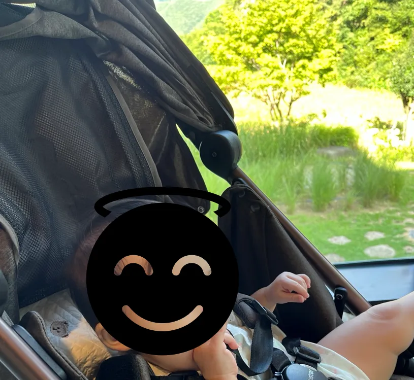 (내돈내산) 오이스터 미니2 휴대용유모차 구매 후기  3