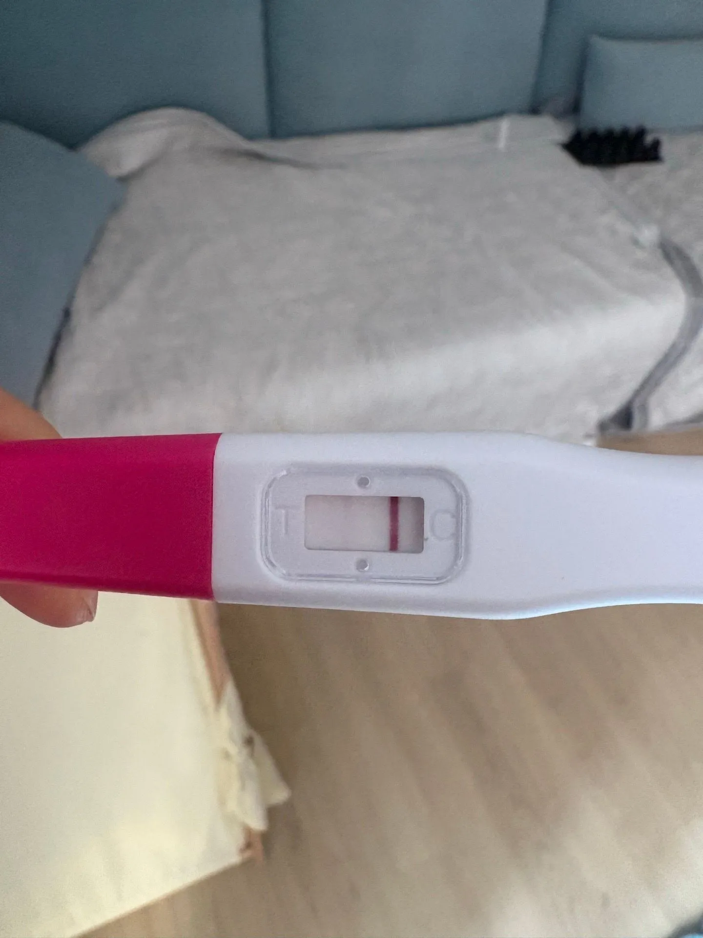테스트기 봐주세요 2