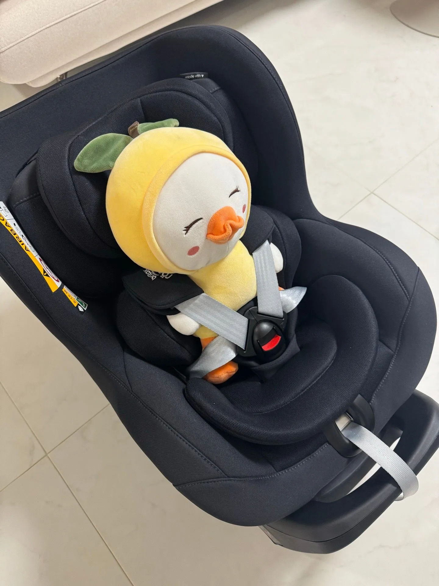 내돈내산 브라이텍스 듀얼픽스 프로 검정색 구매후기😄 2