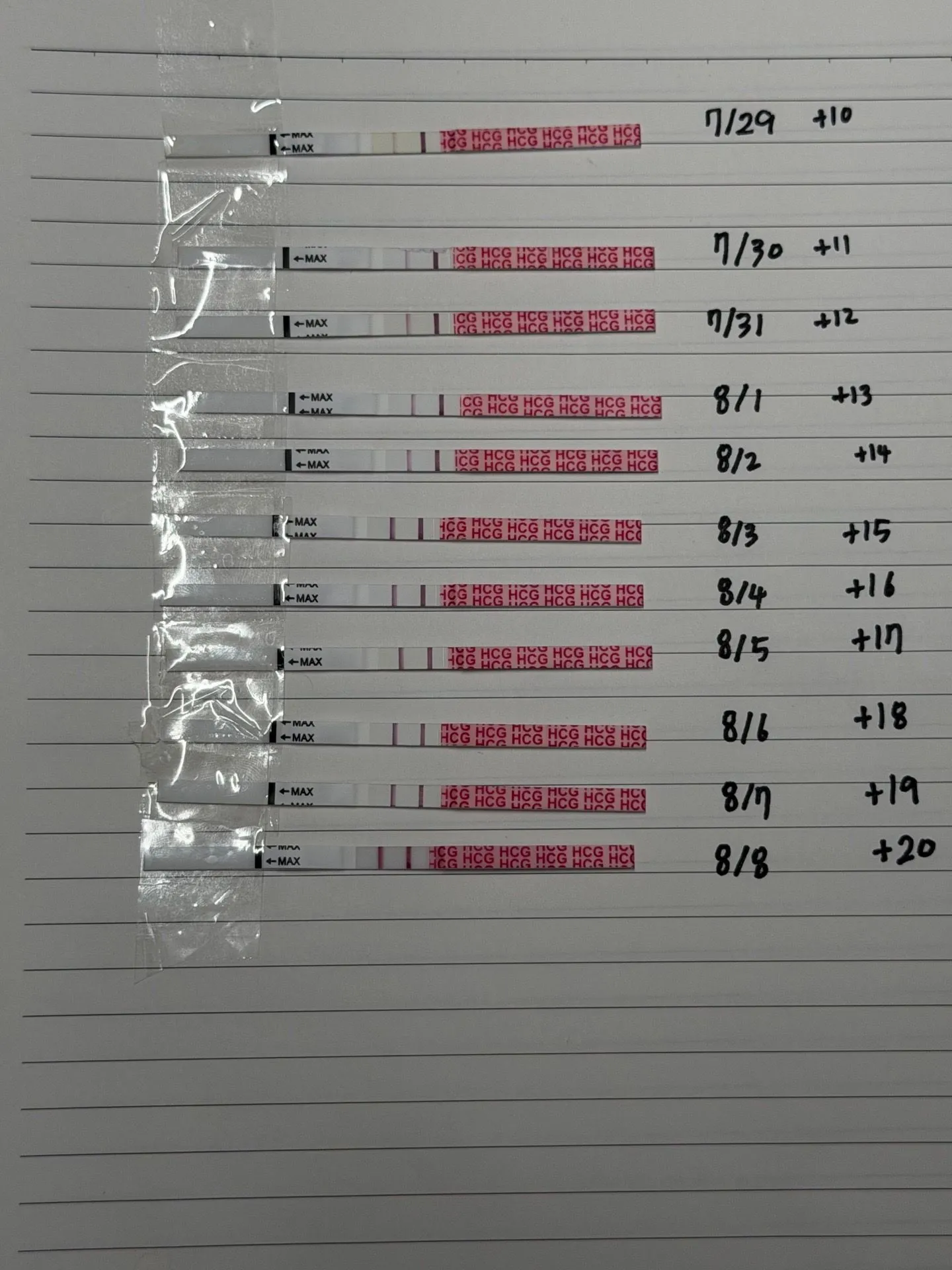 역전맞죠..?!!