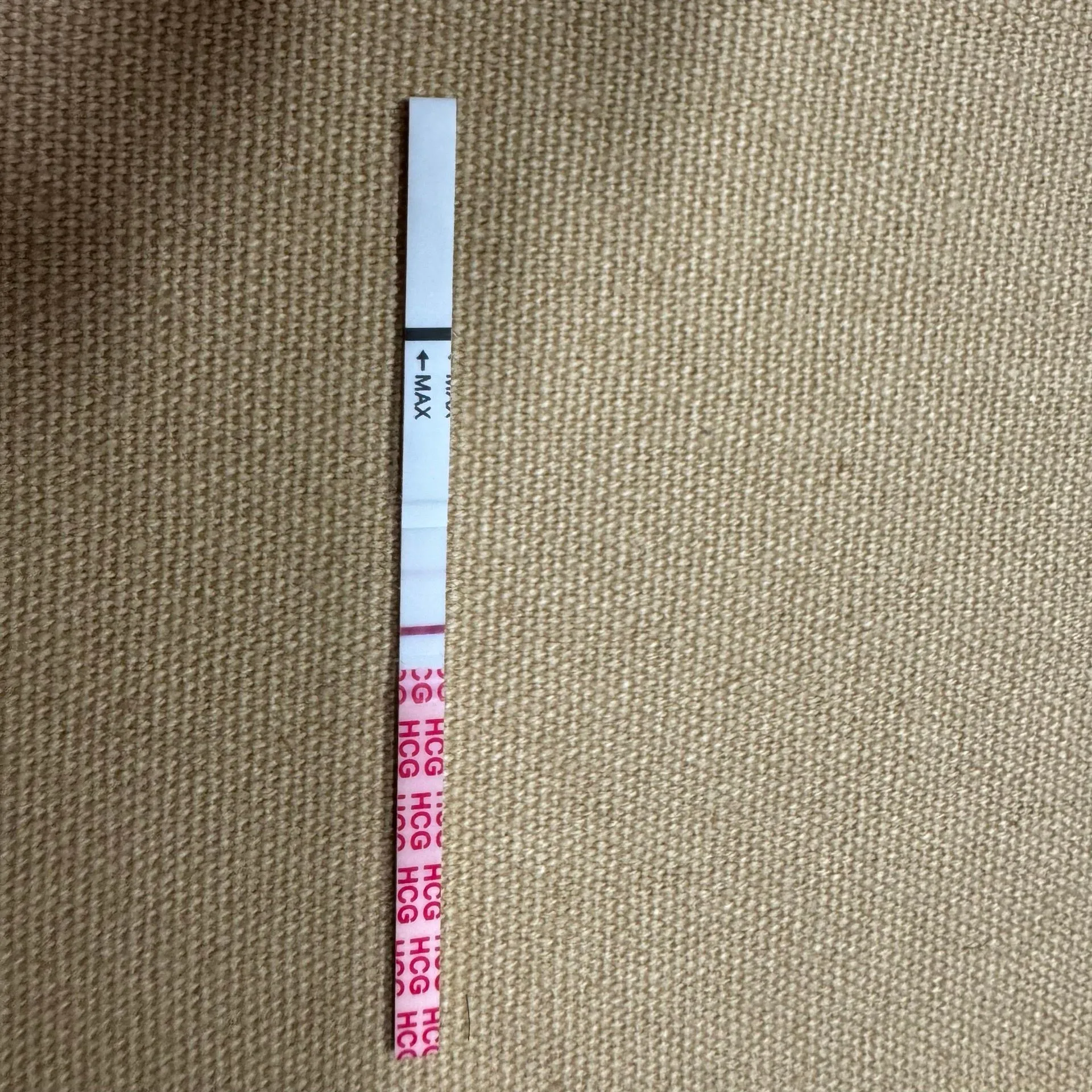 임테기 한번만봐주세요