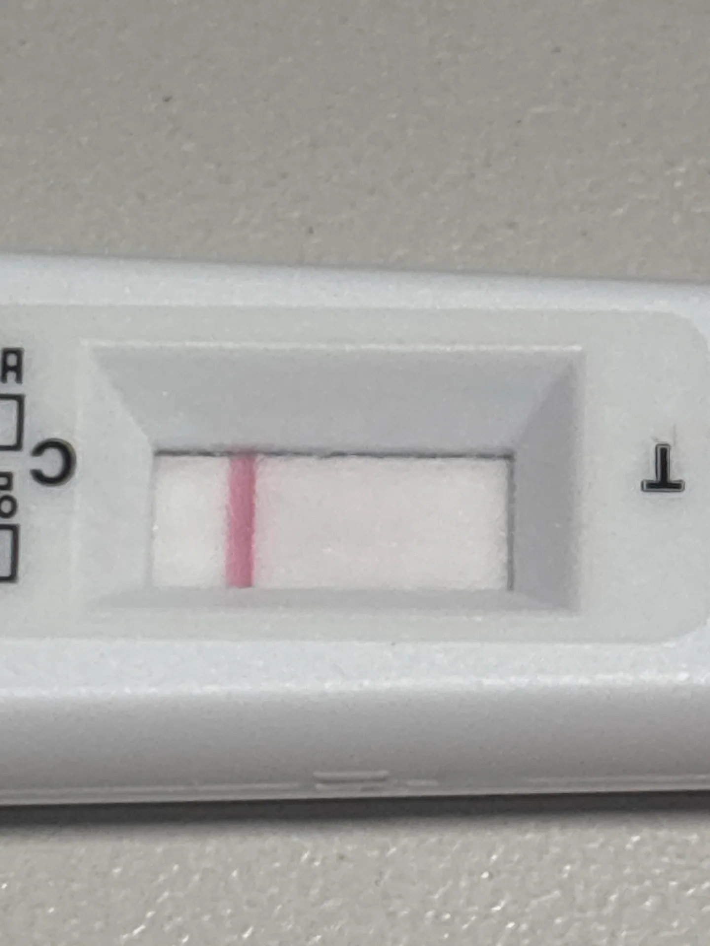 배란 +13일차