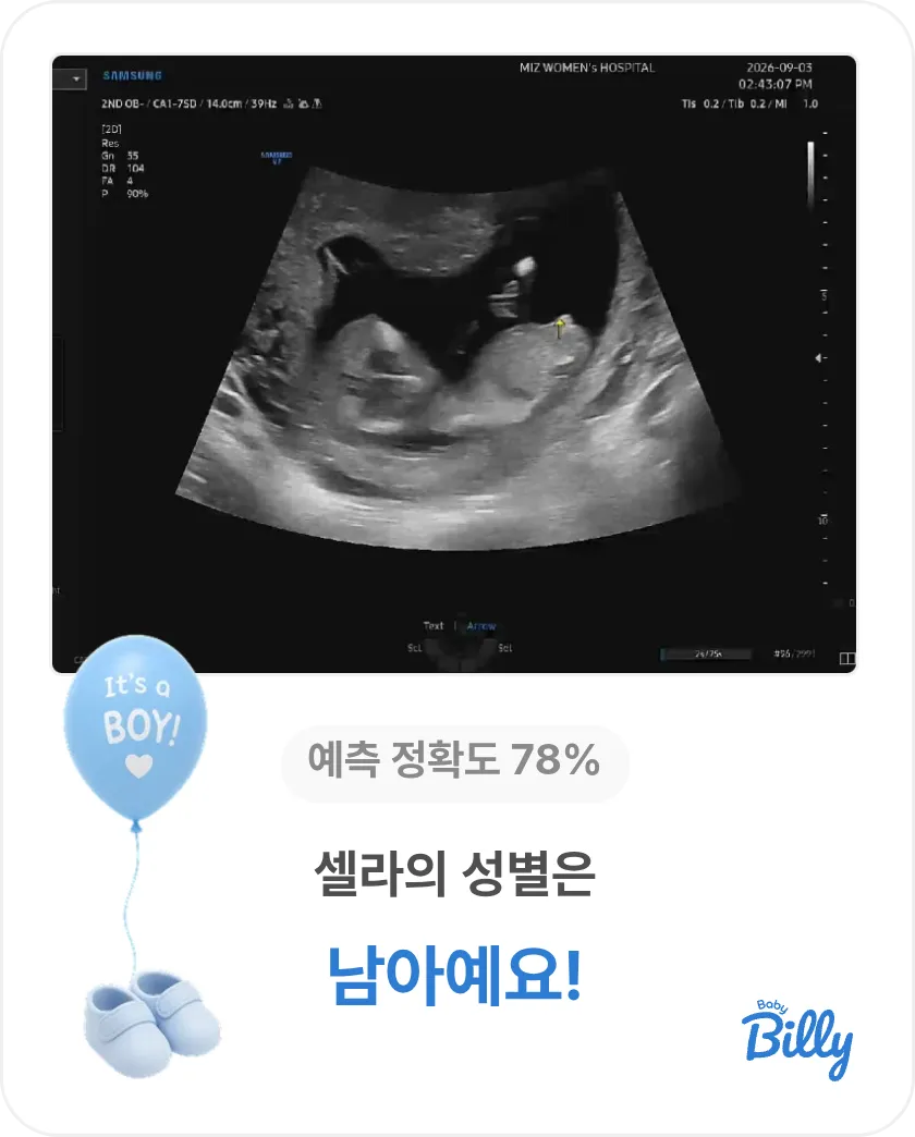 성별 예측해주세요!! 💙💖 3