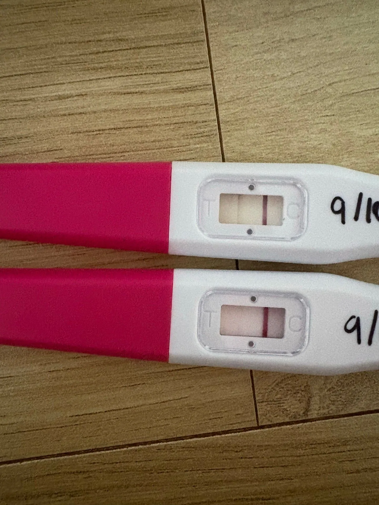 테스트기봐주세요 ㅠㅠ 1