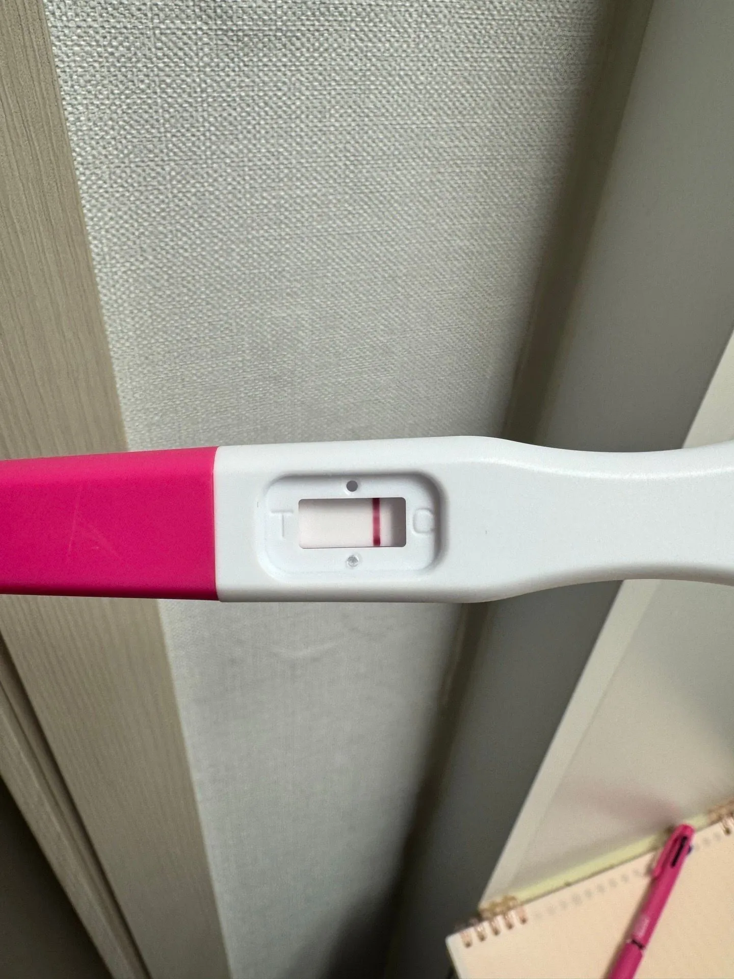 배란9일차