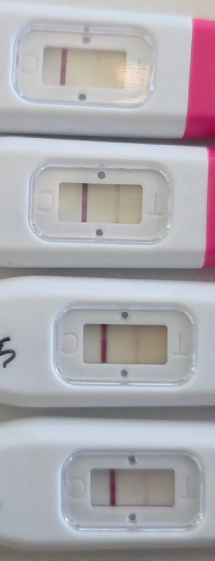 임테기 봐주실분 ㅠㅠ