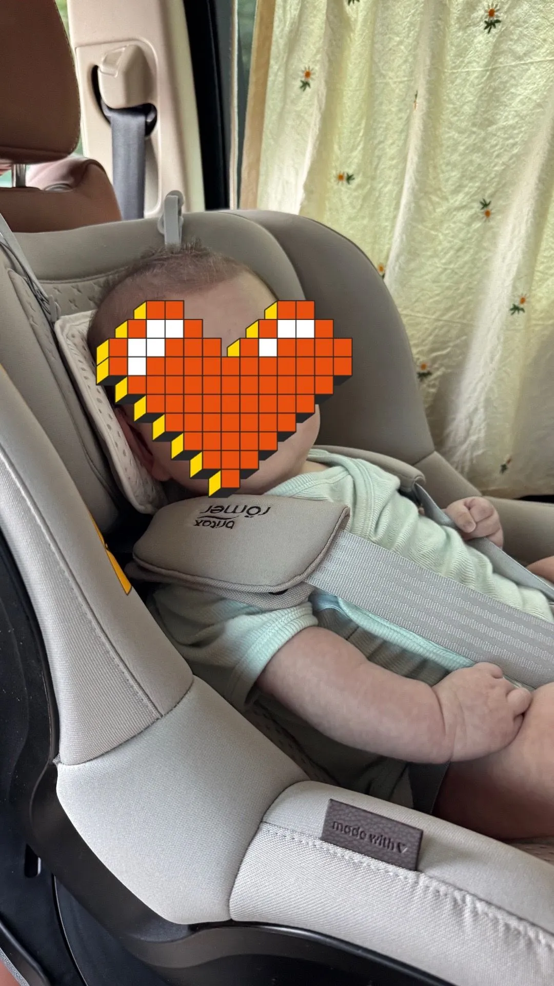 브라이텍스 듀얼픽스 프로 구입 후기 1