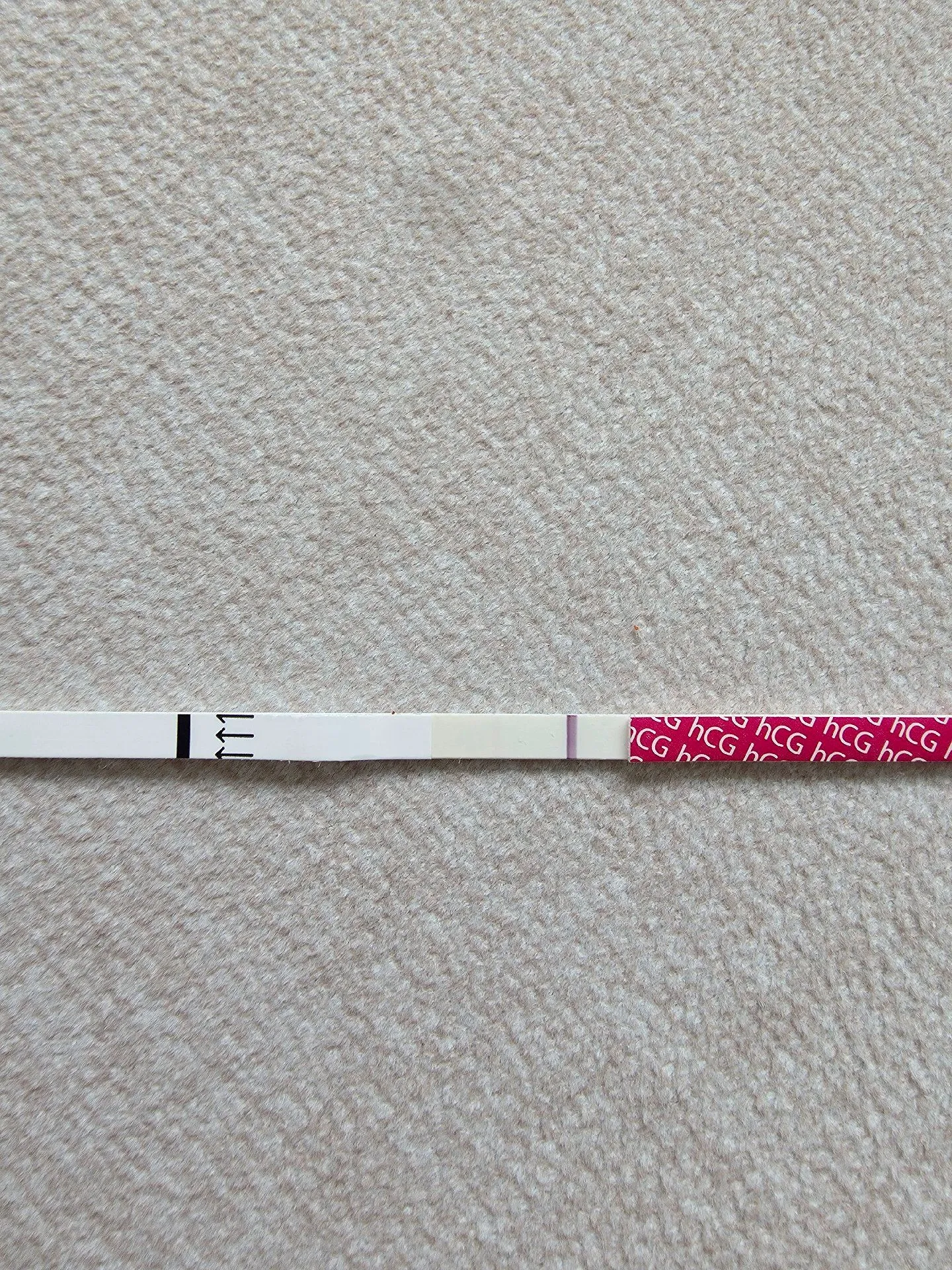 배란일7일차 되는데 맞을까요?? 1