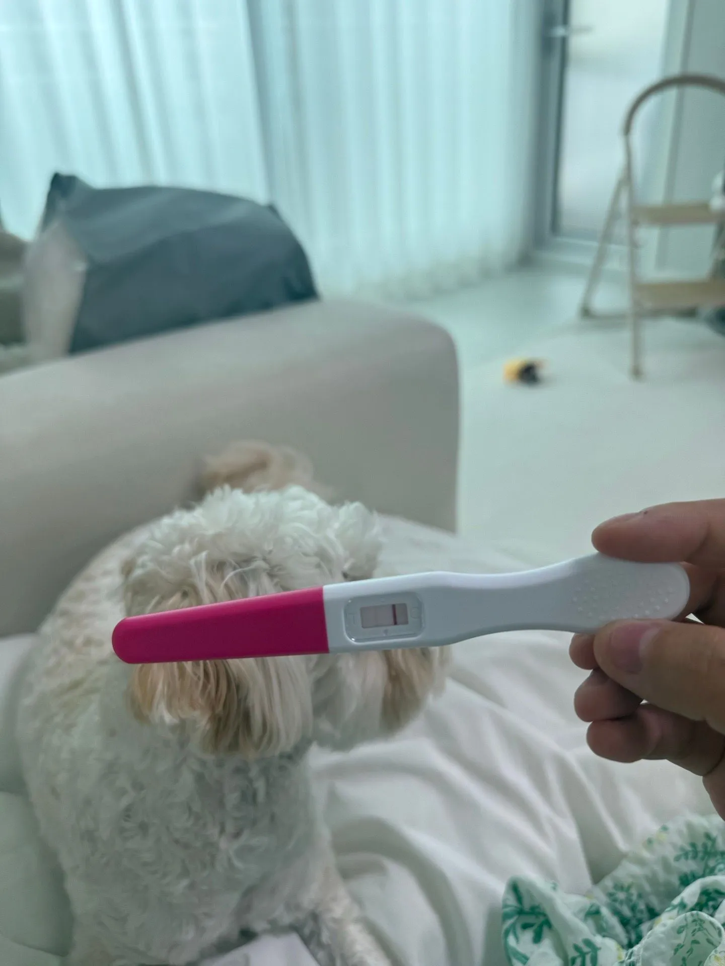임테기 선 봐주실 수 있나용?ㅠㅠ 1