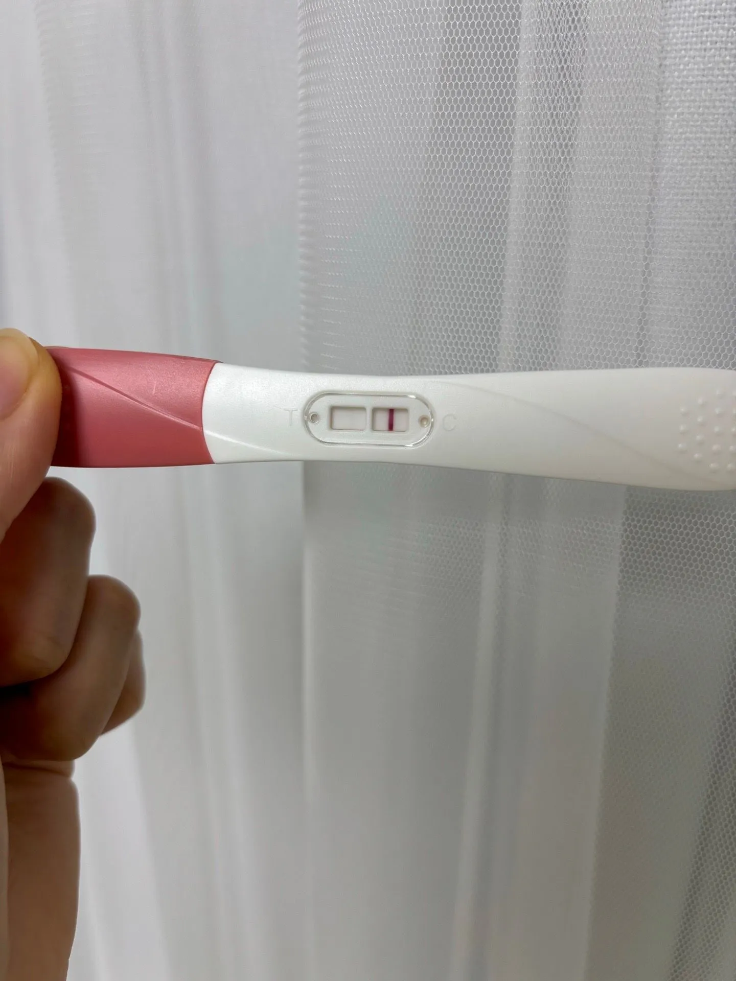 보이실까요…?, 2