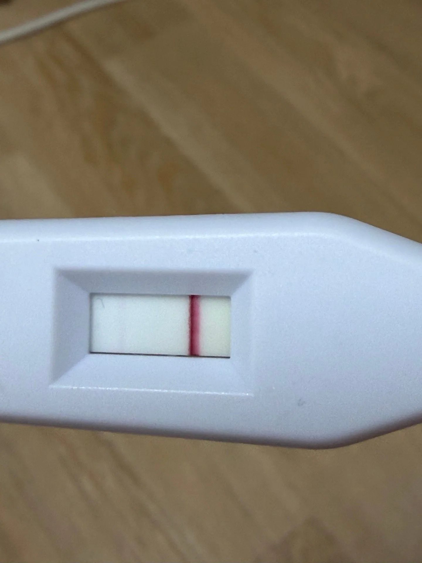 시약선 일까요,,
