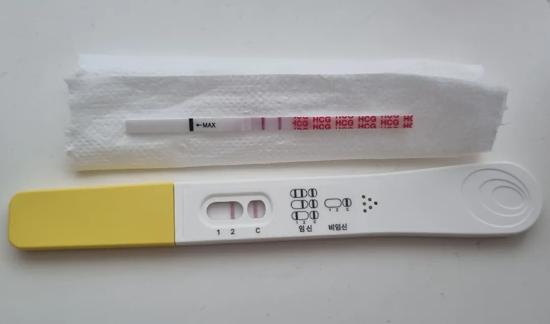 아기집 보일까요? (임테기 결과)