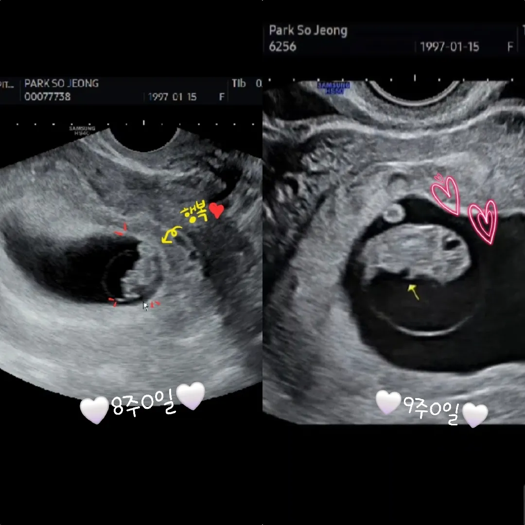 🤍 일주일 만에 울 행복이 🤍