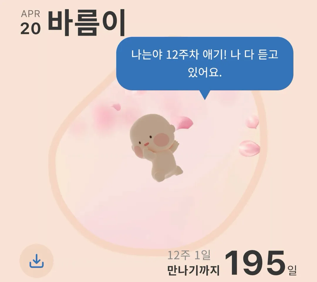 무사히 12주차 돌파 👶🏻