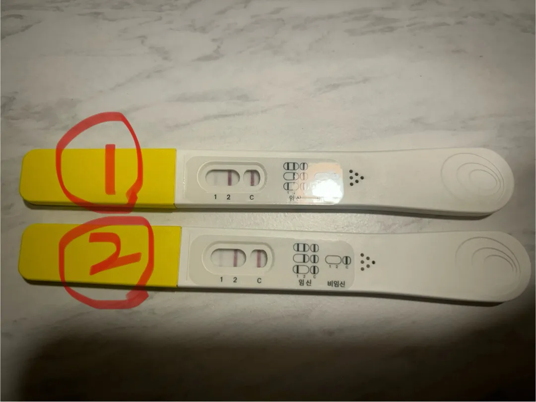 파이널임테기 좀 봐주세요 ㅠㅠ베동님들