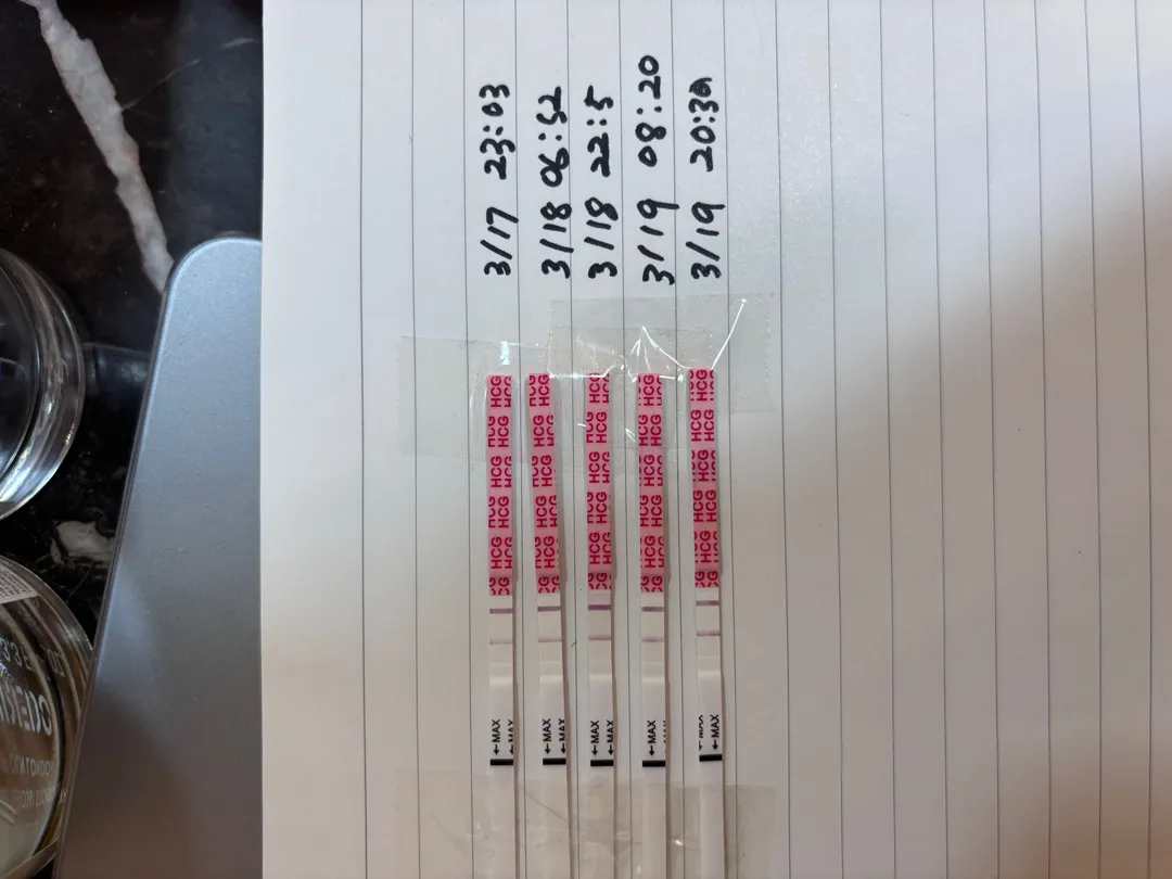 임테기 한번 봐주세용