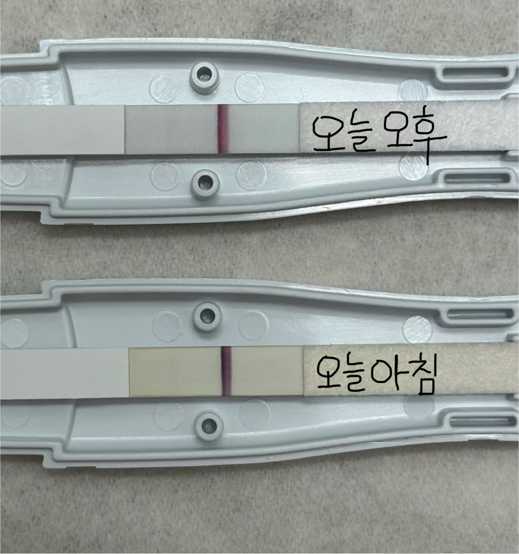 임신 맞을까요? ㅠㅠ