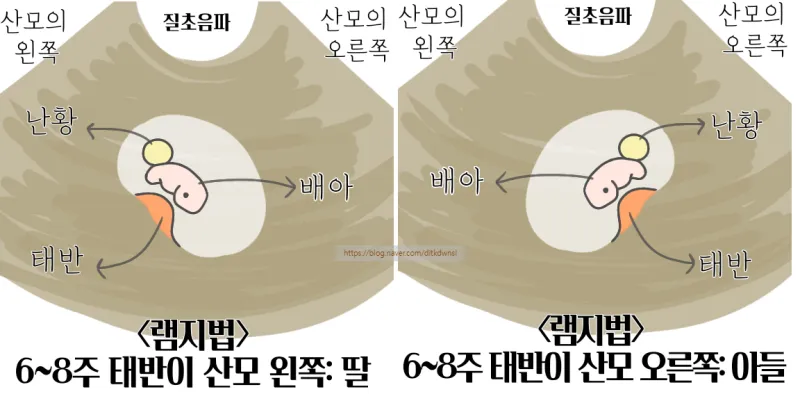 램지법으로 아이 성별 맞으신분 계세요??