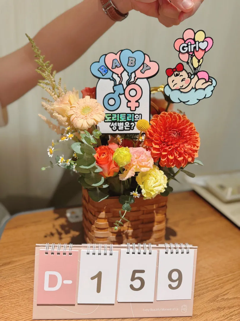 [17주] 둥이 성별나왔어요🥰 인친해욤🙌