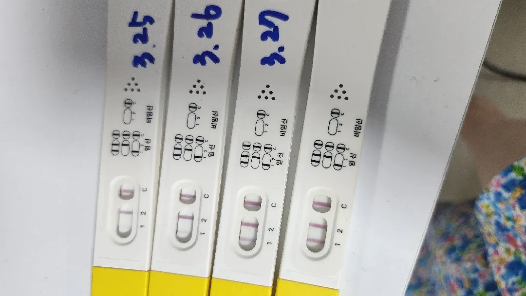 파이널테스트기!!!