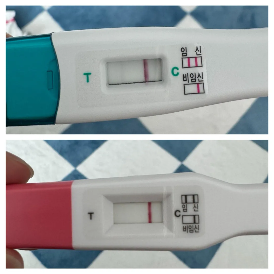 임테기 한번 봐주세요!