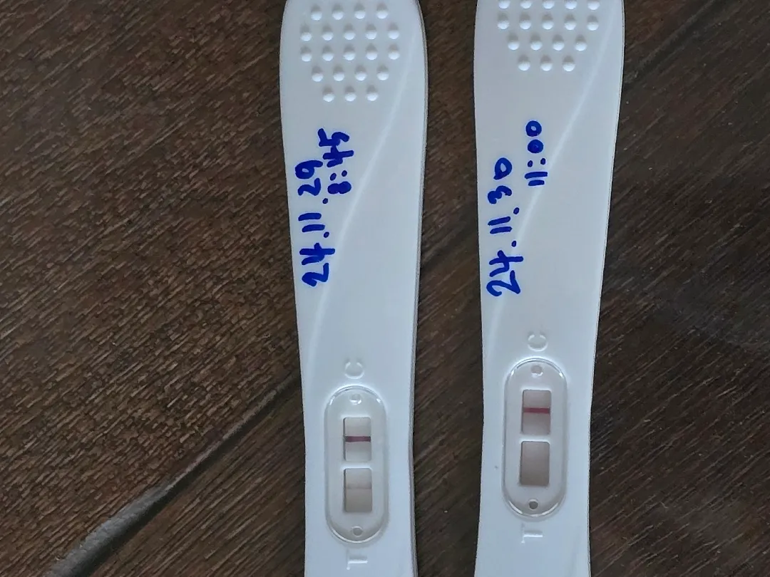 얼리테스트기 봐주세요..ㅠㅠ