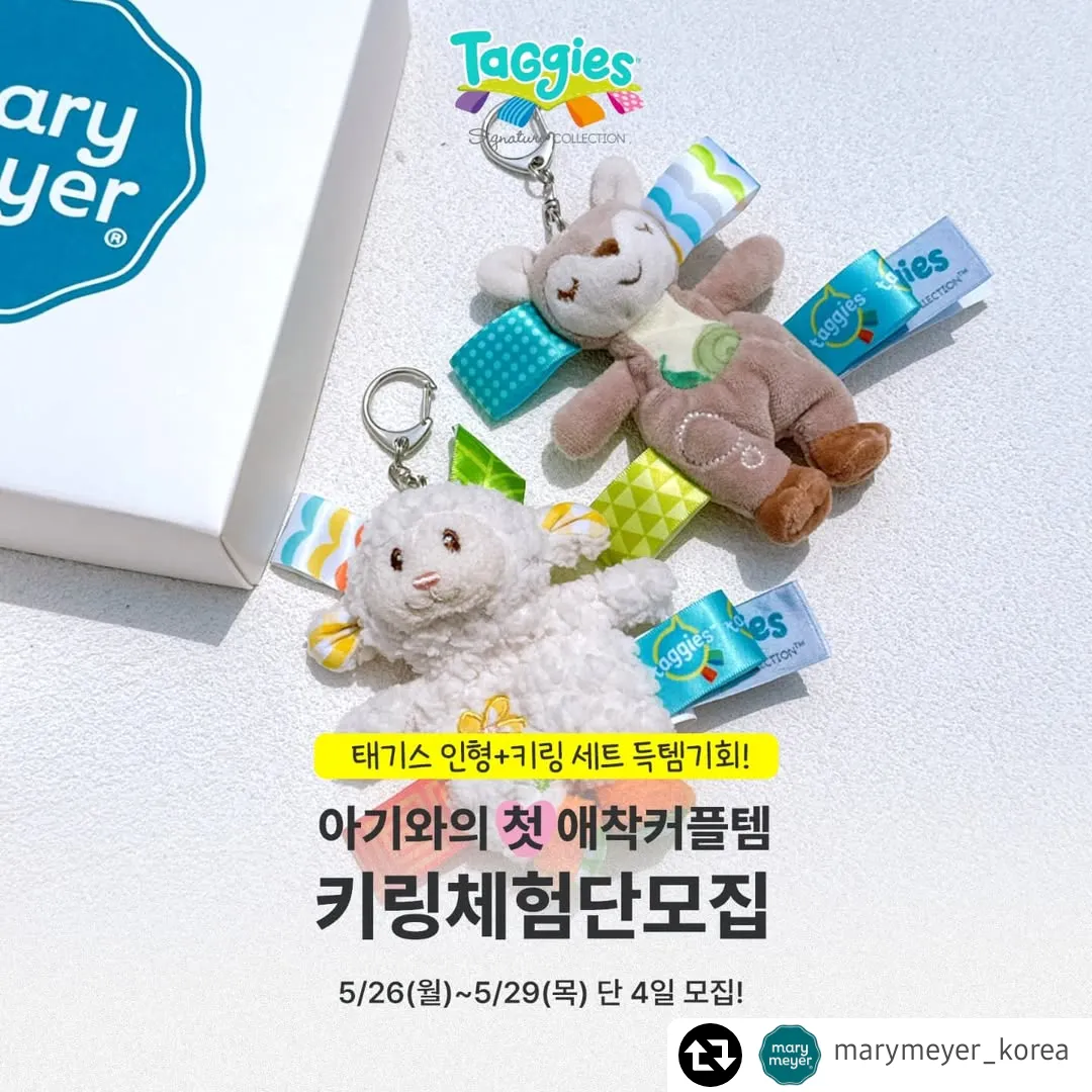 애착인형으로 유명한 메리메이어 태기스 키링 출시 기념으로 체험단 모집한대요:)