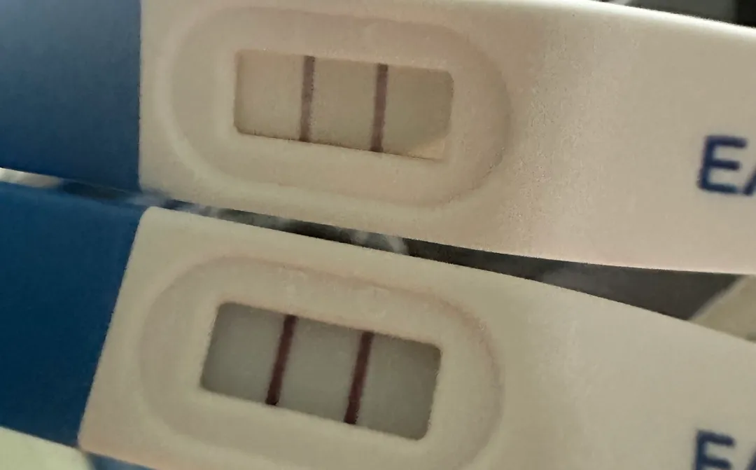임신테스트기 두줄