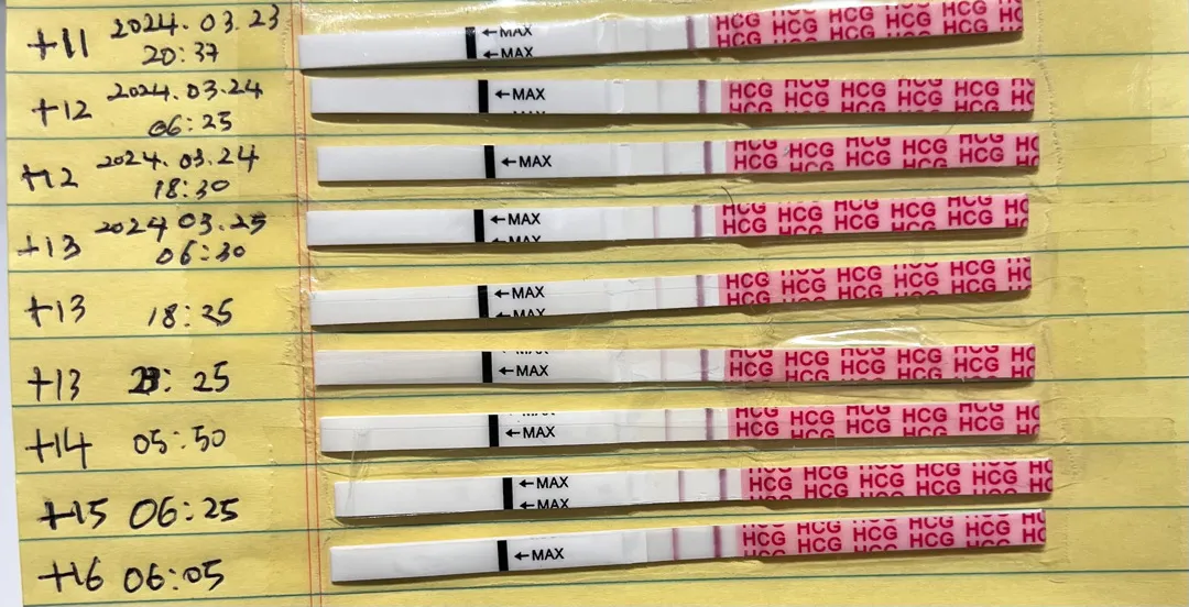 4주3일차