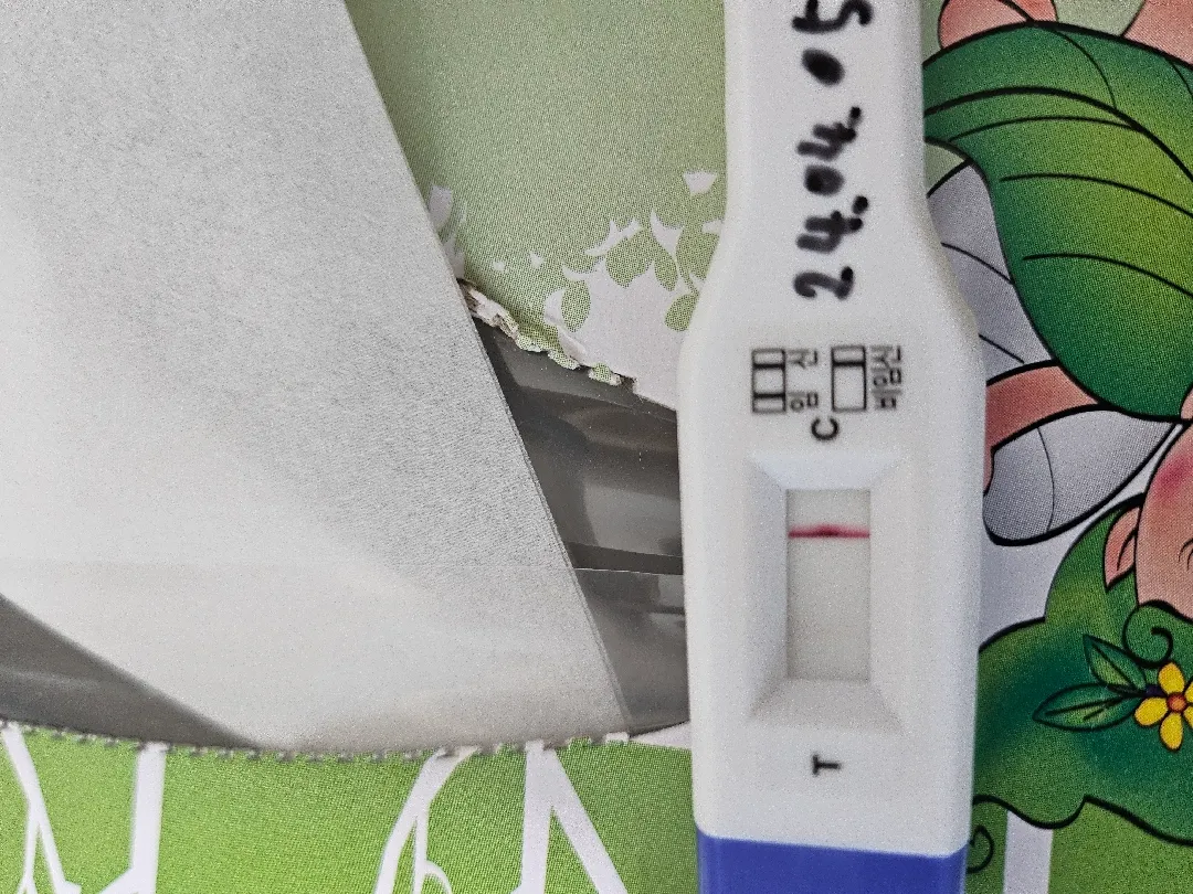 두줄 일까요?