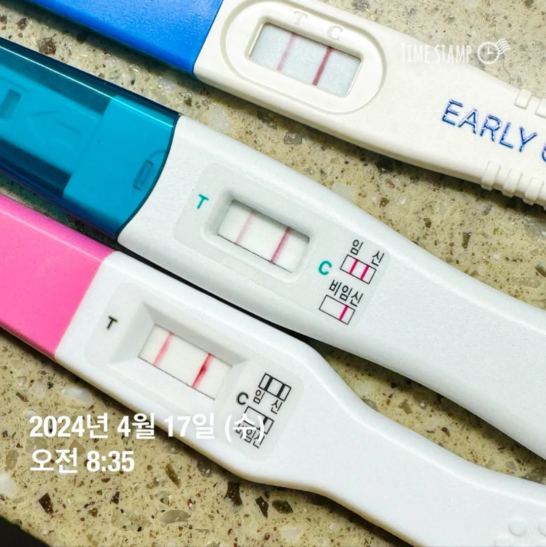 오늘 생리예정일 임테기 두줄..!