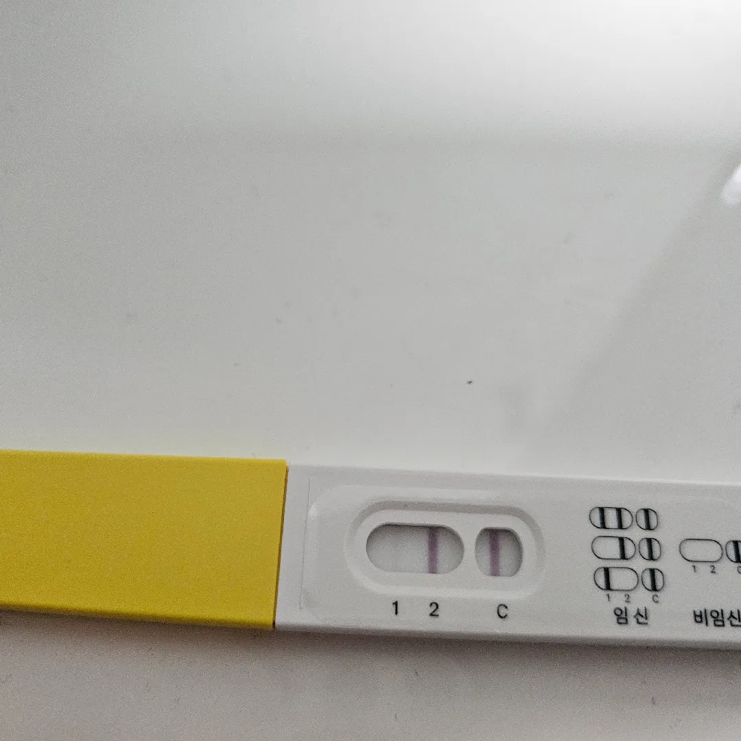초음파용!