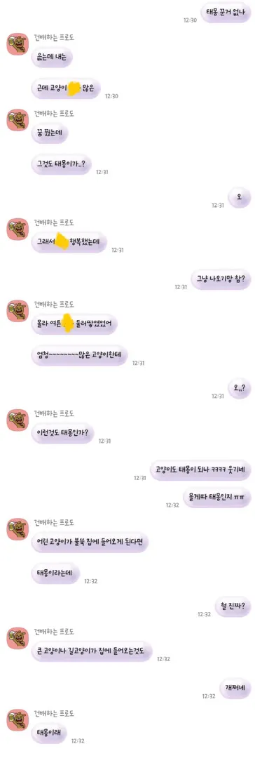 태몽일까요?
