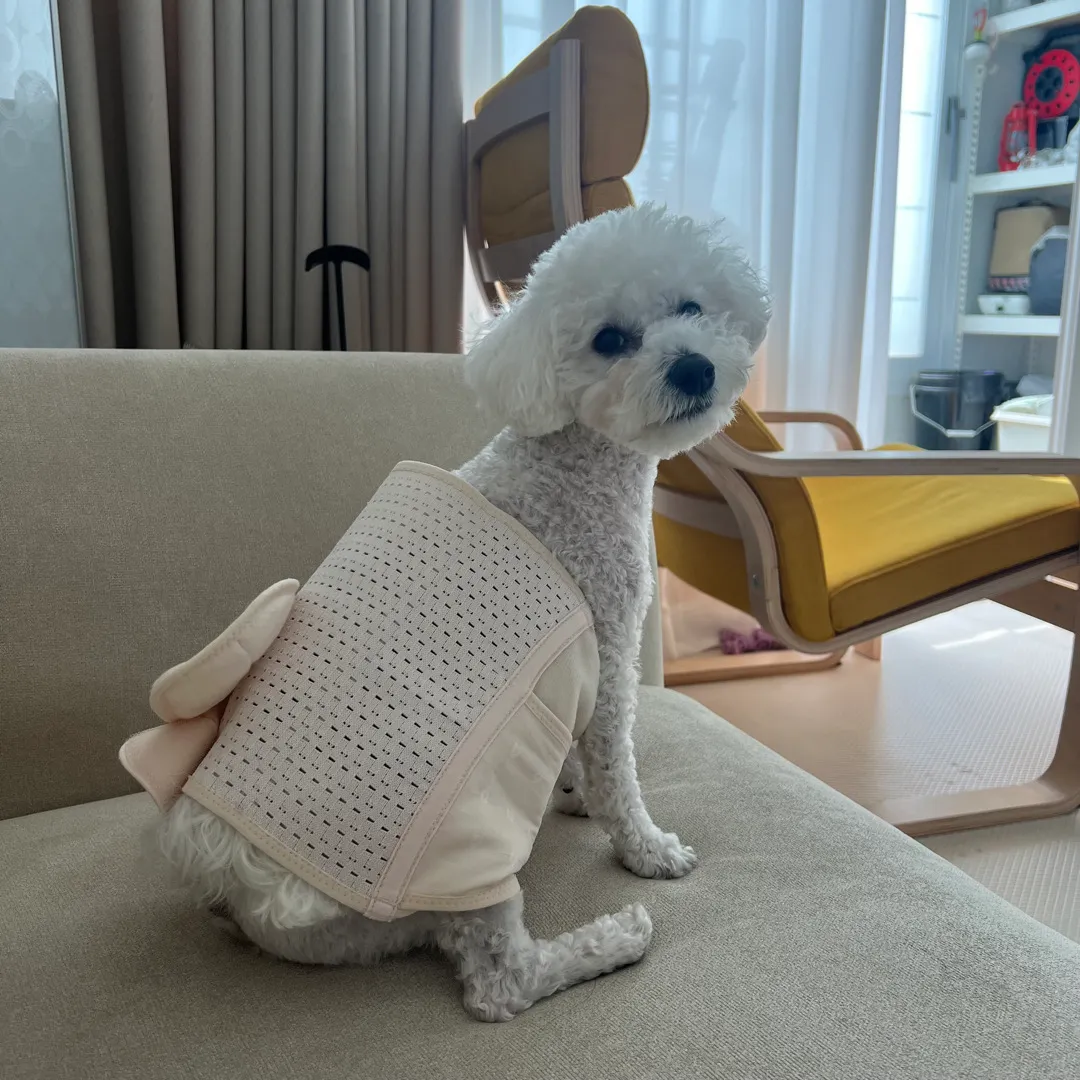 ㅋㅋㅋ산전복대 주인 바뀜