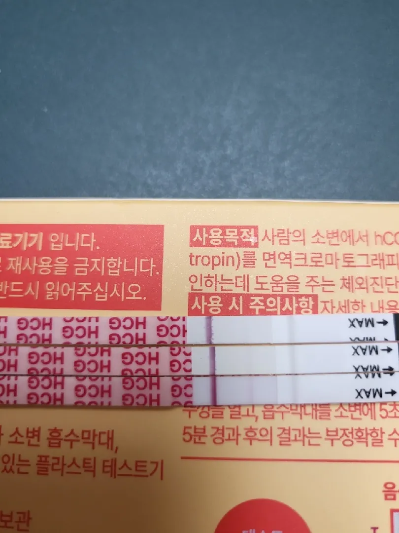 임신 맞을까요?