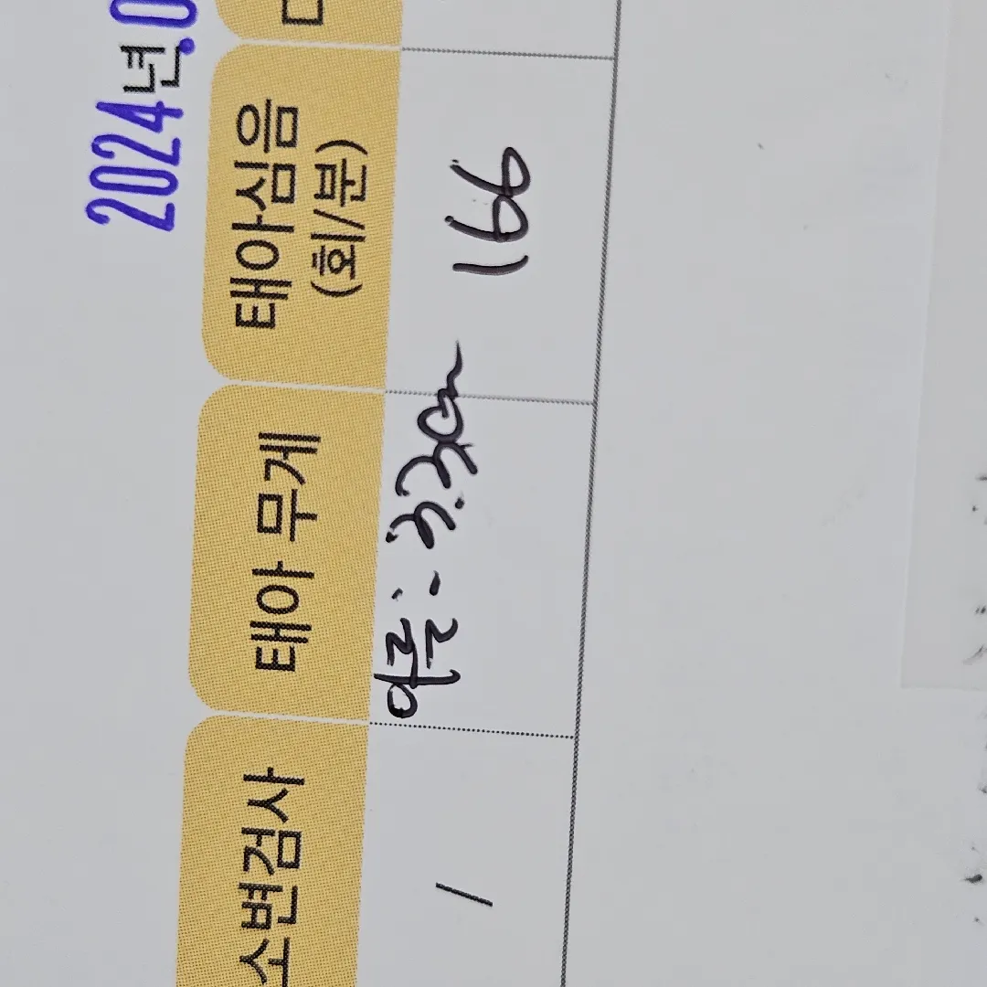 이 글씨가 뭘로 보이시나요...?