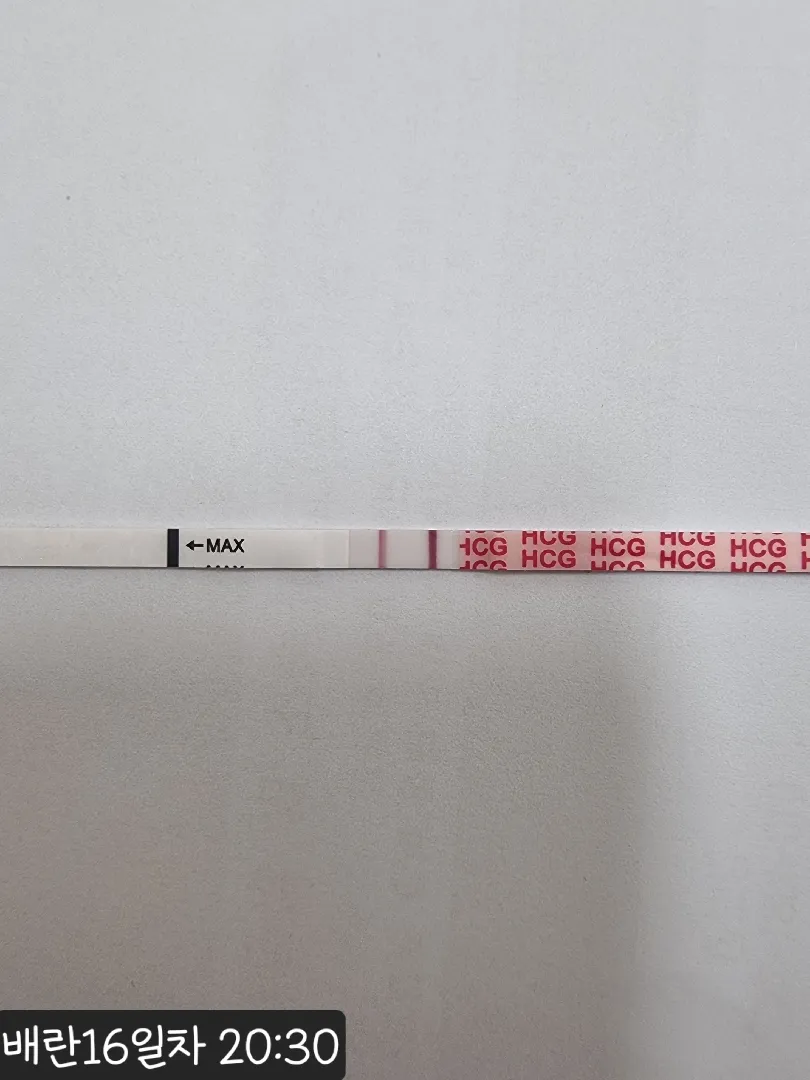 배란 16일차 진하기 어떤가요?