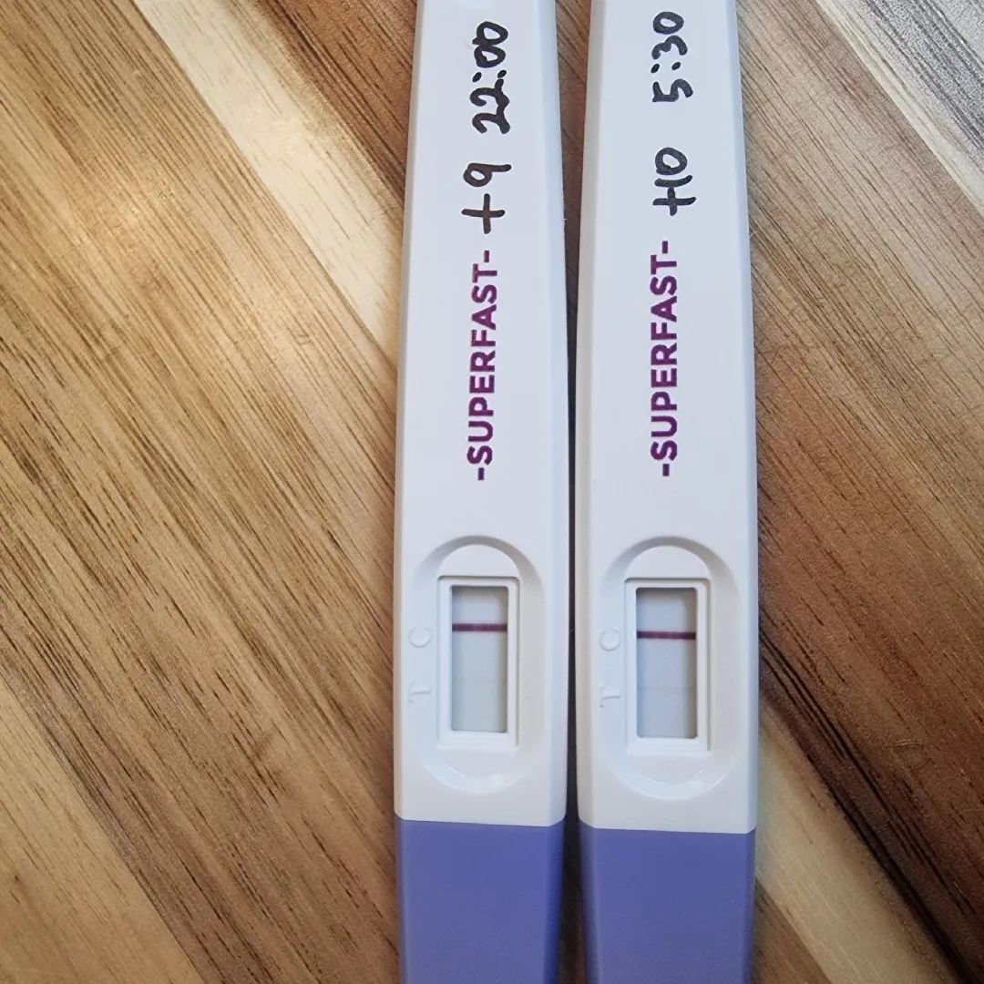 3주5일인데 두줄 맞겠죠???
