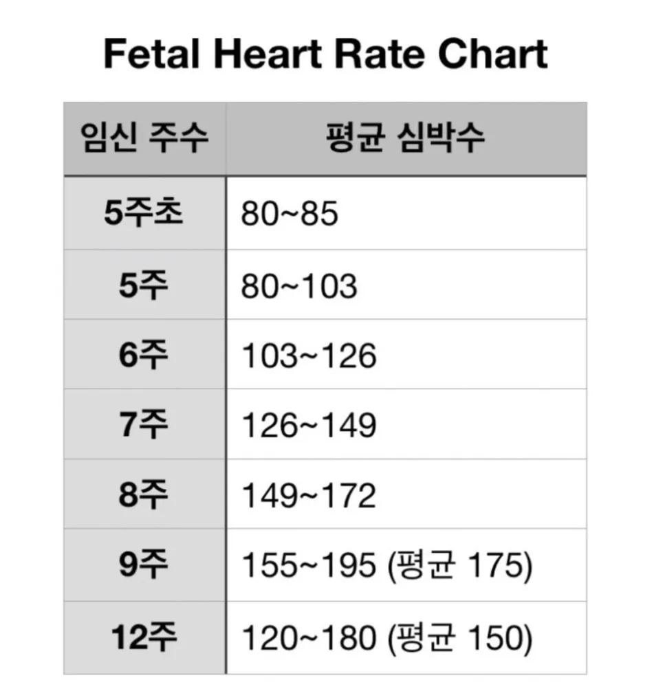 6주4일 심장초음파 165bpm